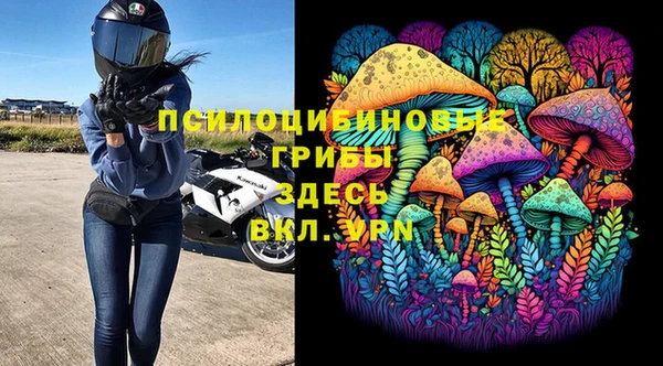 герыч Козельск