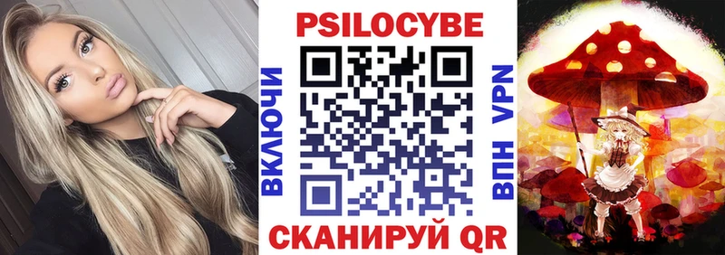 Галлюциногенные грибы Psilocybine cubensis Нестеровская